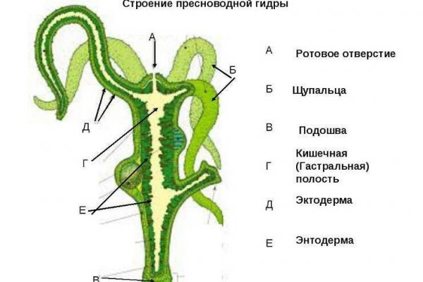 Кракен наркоплейс