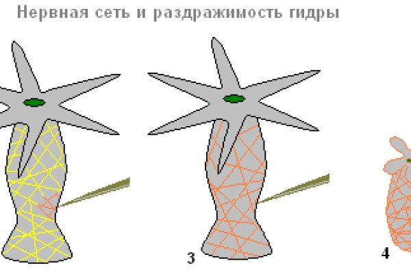 Ссылки сайтов даркнета