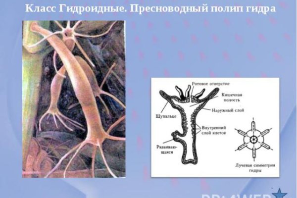 Кракен маркетплейс почему не закроют